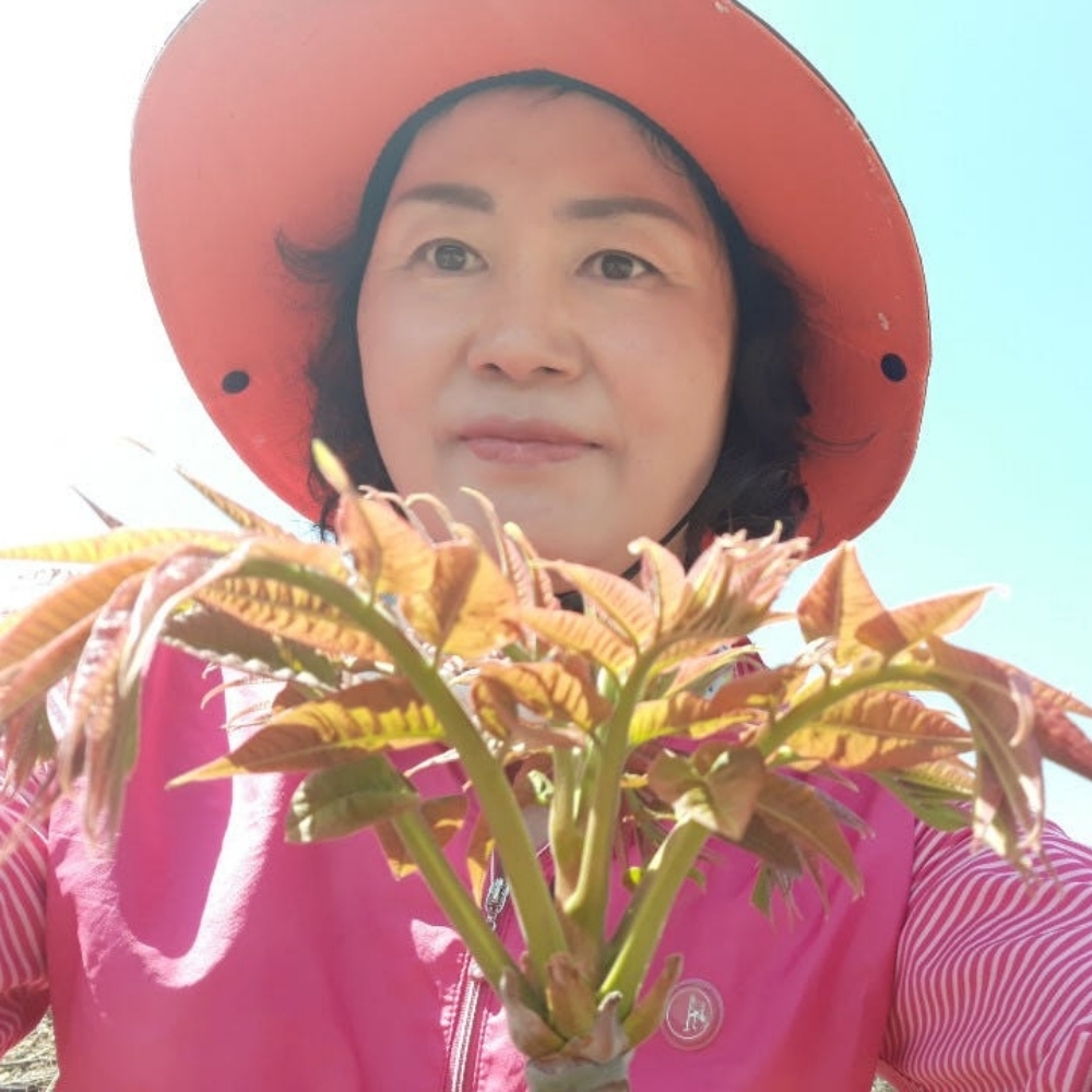 만석이네농장 무농약 가죽나물 장아찌 500g 선물 - 상세 이미지 5