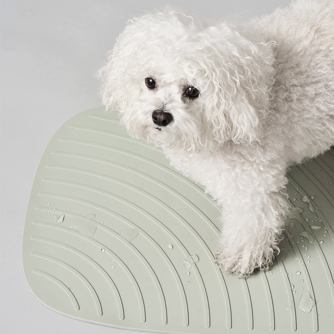 헤이테일 강아지 논슬립 목욕 매트 샤워 실리콘 미끄럼방지 패드 제품 이미지