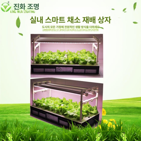 프리미엄 스마트 가정용 베란다 실내 타워형 수경 재배기 원격 대형 기계식 타이머 기계식 스마트 타이머 - 상세 이미지 2