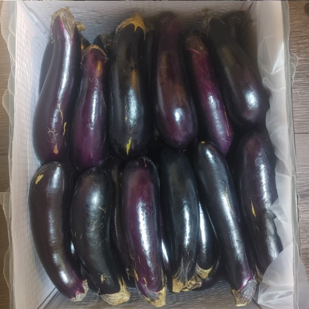 김채소 산지직송 국내산 가지 상 160g, 2개 - 상세 이미지 4