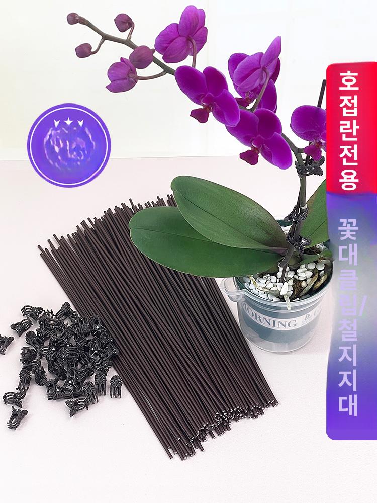 식물 지주대 50개 철제 화분지지대 화분기둥 고정대 텃밭 토마토지지대 - 상세 이미지 3