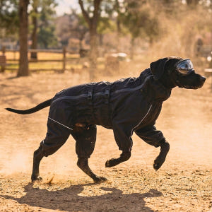 강아지 액티비티 올인원 우비 방수 레인코트 비옷 장마 산책 방풍 캠핑 우... 솔직 후기 | 실제 사용자 리뷰 총정리 - 상품 이미지 4