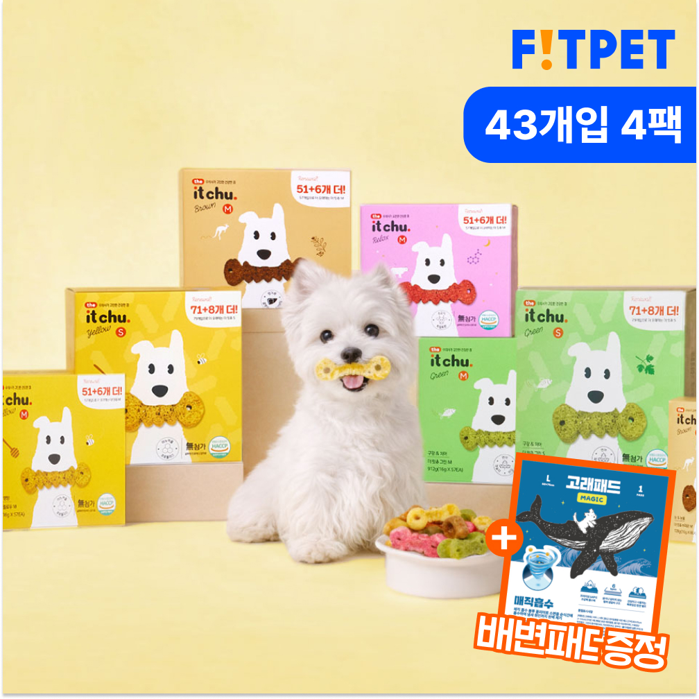 잇츄 오리지널 43개입 2+2 강아지 양치껌 덴탈껌 대용량 간식 제품 이미지