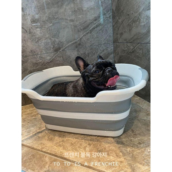 프리미엄 소형견 애견 펫욕조 샤워장 화이트그레이 호환 접이식 폴딩 샤워용 실버 이온 SPA 볼 베이지 - 상세 이미지 3