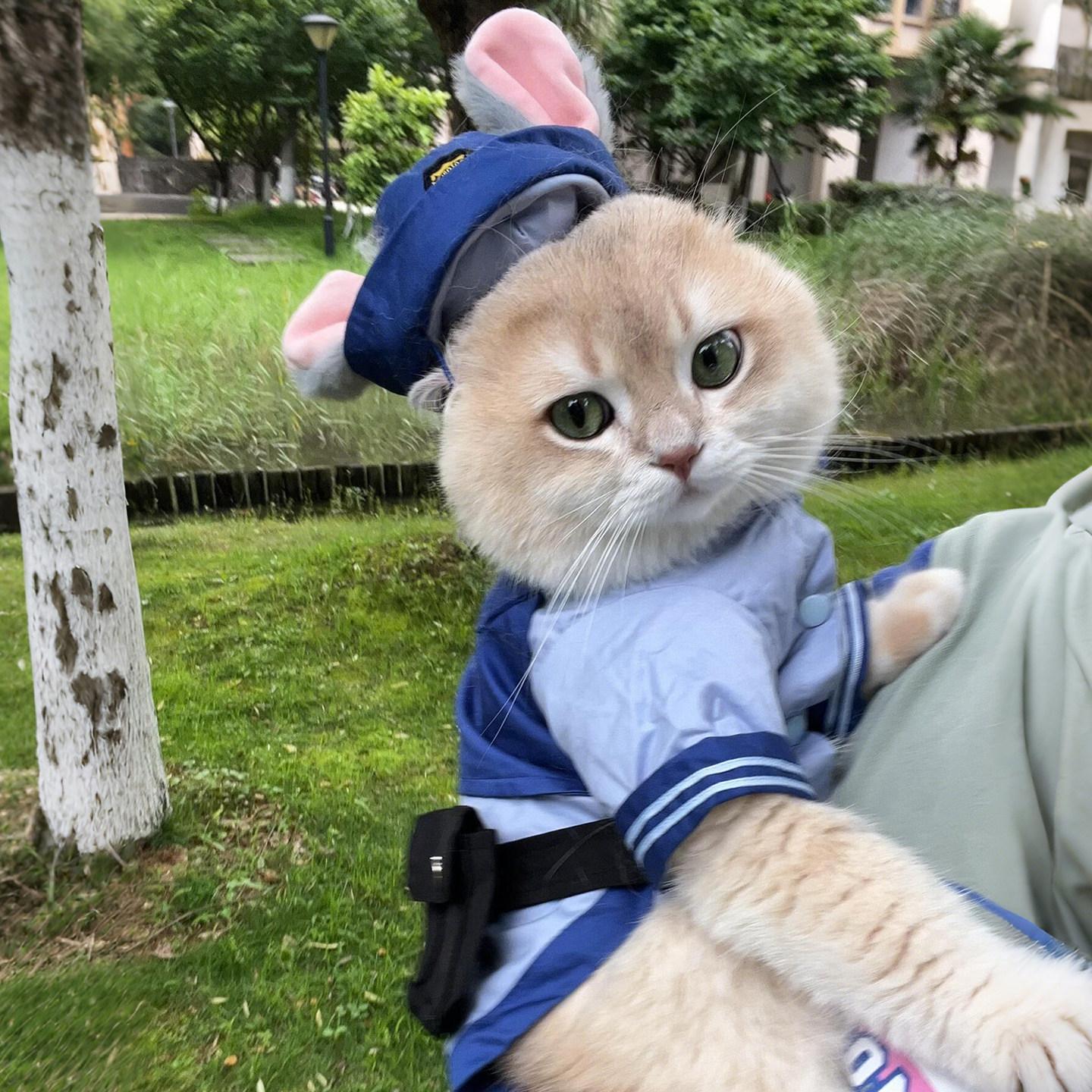 주디 강아지 고양이 의상 사계절 캐릭터 옷 래빗 코스프레 의상 S 가슴둘레35 등길이25 - 상세 이미지 5