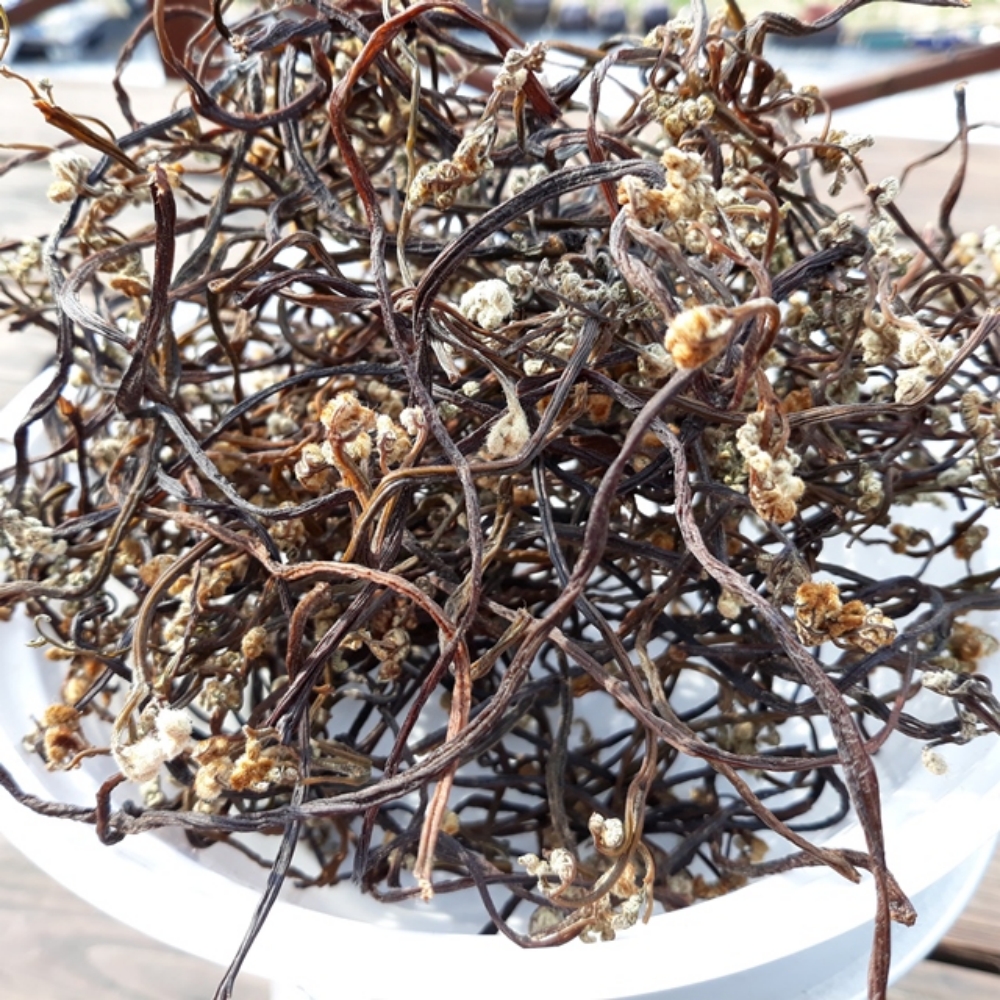 2026년  자연산 건고사리 100g, 건엉겅퀴(밀크시슬) 300g(국산) - 상품 이미지