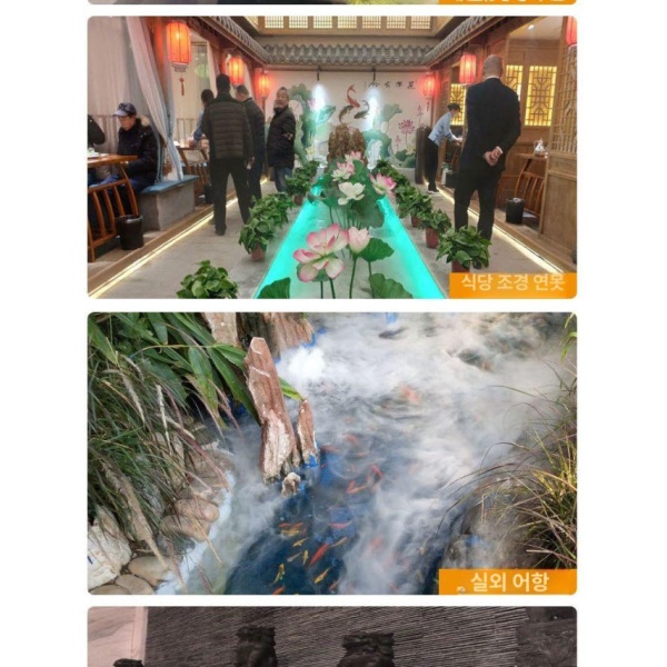 프리미엄 실내 수족관용 안개 발생기 연무기 인공폭포용 6헤드 전원변압기미포함 4헤드 전원변압기미포함 - 상세 이미지 3