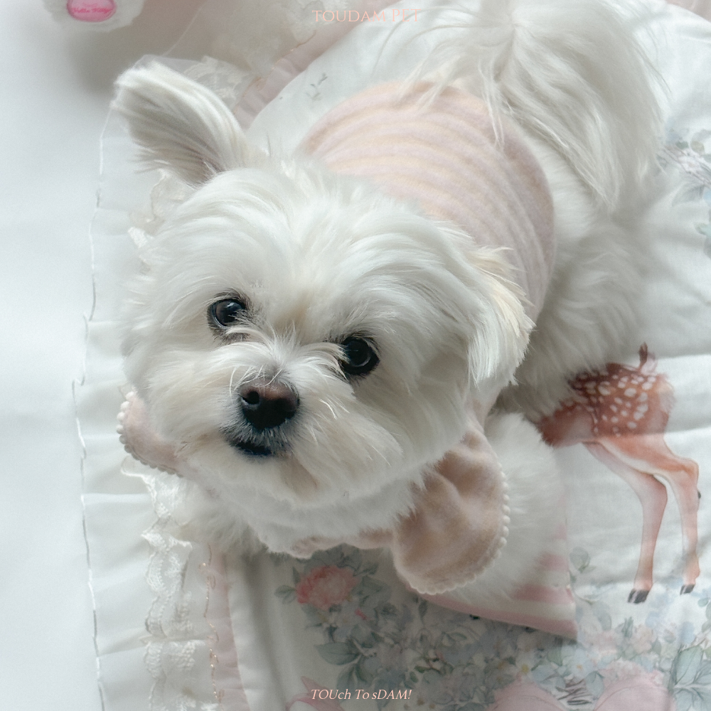 뚜담펫 강아지 수면 조끼 고양이 니트 강아지옷 말티푸옷 - 상세 이미지 3
