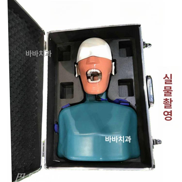 치과 마네킹 더미 실습 이빨 치위생사 교육 교구 구강 배수관 포함 머리 모형 - 상세 이미지 2