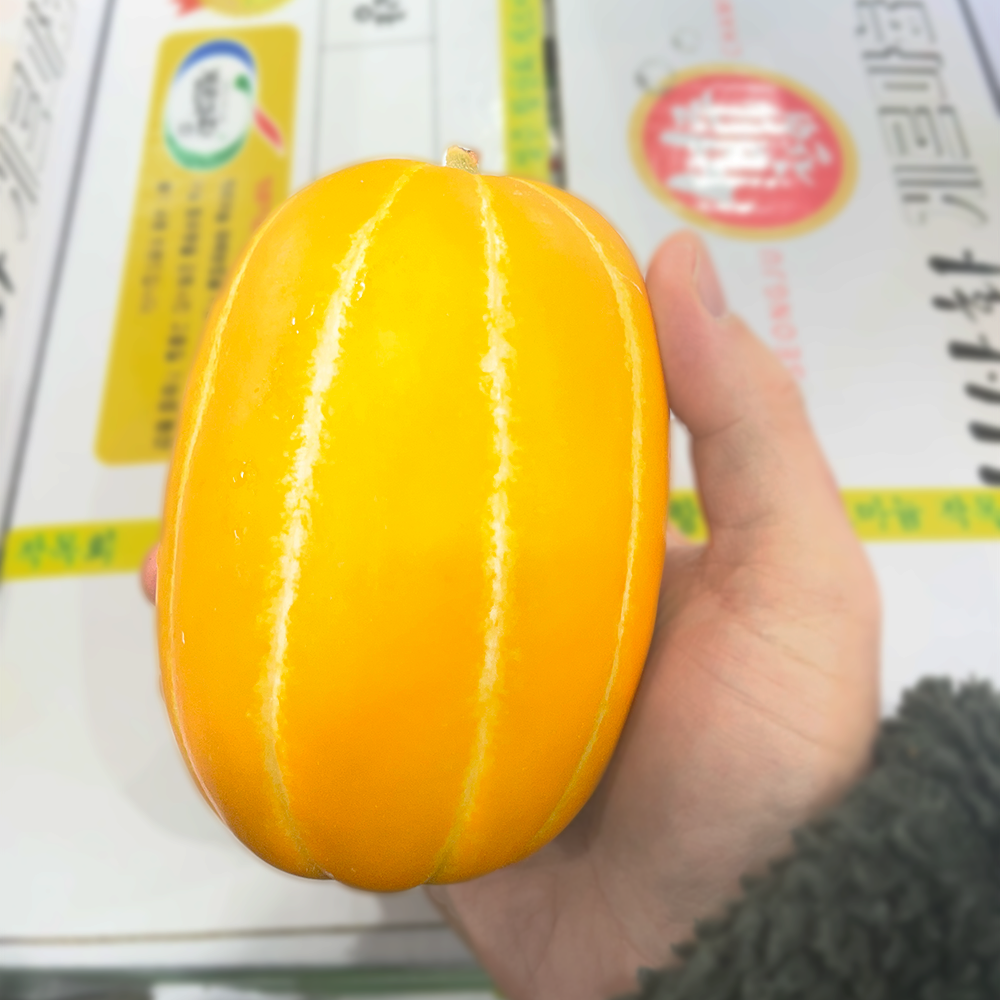 성주참외 고당도 참외 참외 선택 가이드 꼬마 참외 못난이 참외
