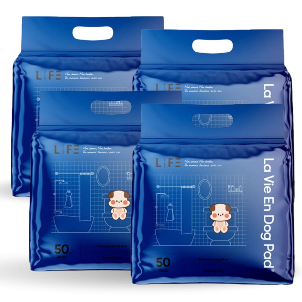 라비앙독 프리미엄 소형