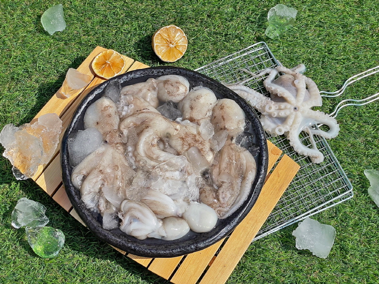 쭈꾸미 알쭈꾸미 주꾸미 활 알배기 봄쭈꾸미 생물 제철 국내산 수입산 - 상세 이미지 2