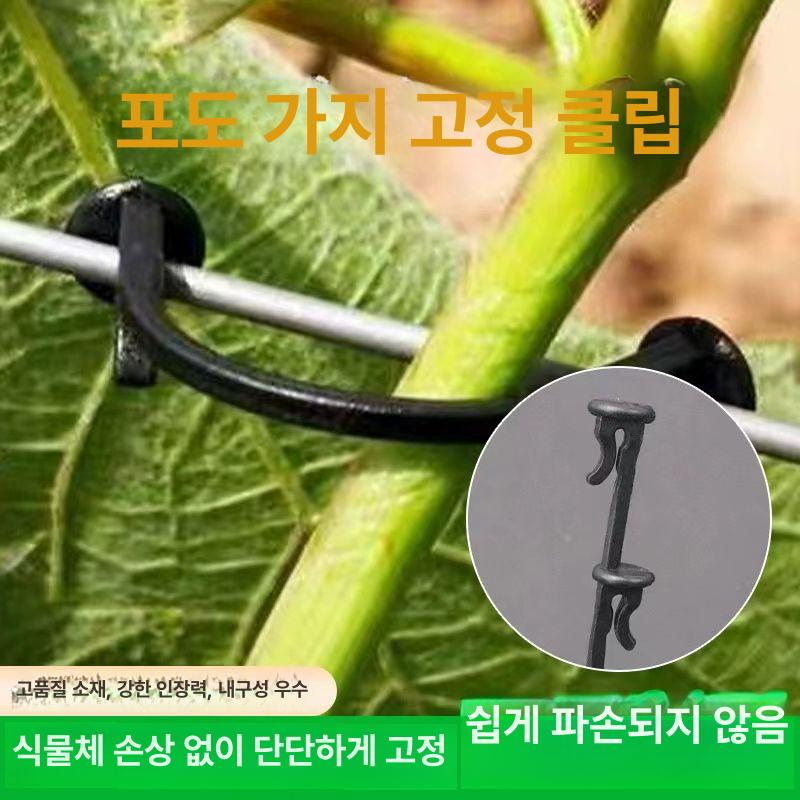 포도나무 지지대 고리 덩쿨 말뚝 브래킷 고정 철제 클램프 포도 토마토 식물 - 상세 이미지 4