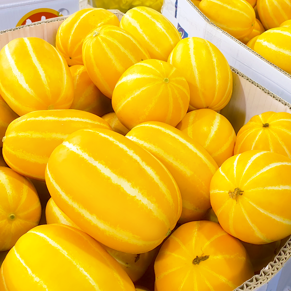 성주참외 고당도 꿀 꼬마 못난이 참외 10kg 2kg 3kg 5kg 이미지 8