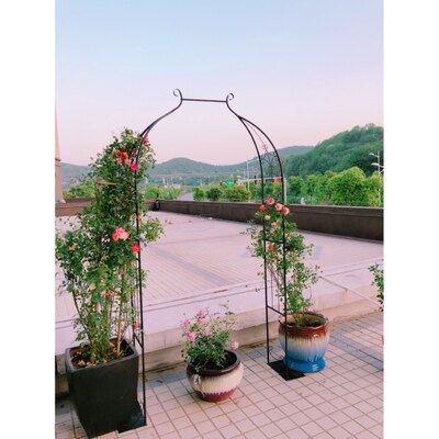 넝쿨 지지대 장미 아치형 프레임 블랙 철제 스탠드 울타리 가든 정원 장식물 넝쿨식물펜스 스타일B 검정 80cm - 상세 이미지 2