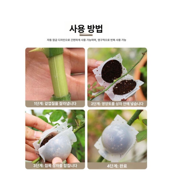 혁신적인 루팅볼 취목볼 루팅팟 투명 접목 삽목 공중뿌리 발근 소형 블랙 1개 플라스틱 소형 블랙 1개 플라스틱 - 상세 이미지 4