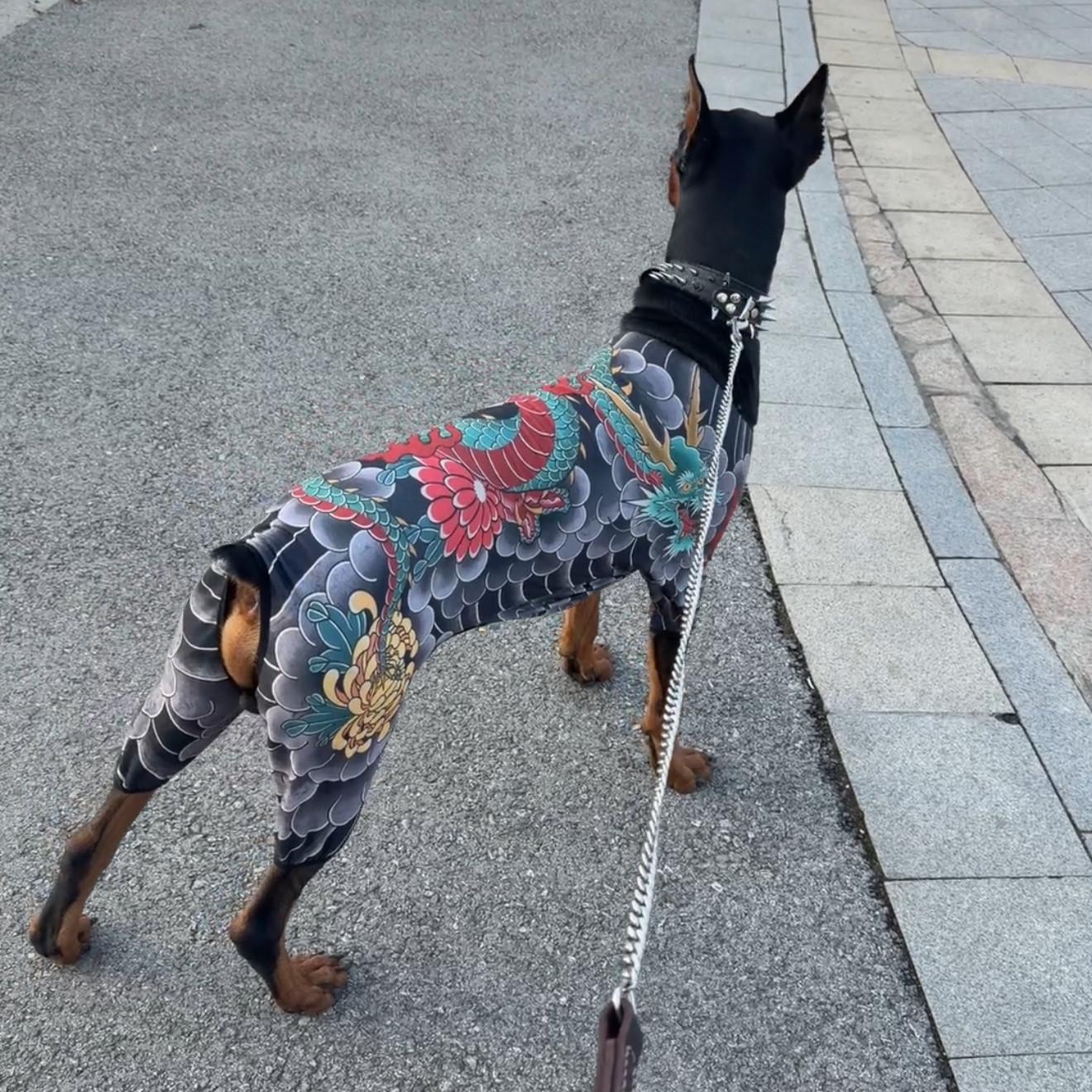 중대형견 반려동물 문신 이레즈미 타투 옷 고양이 강아지 3XL 등길이45센티적합 - 상세 이미지 2