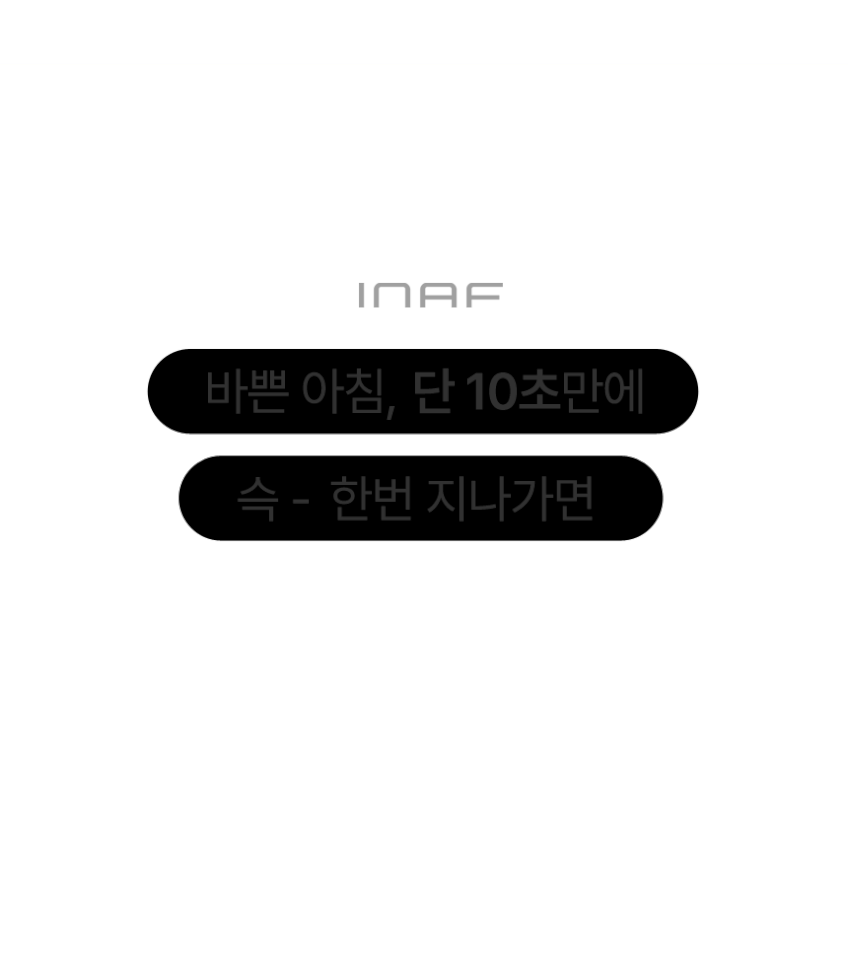 이나프 핸디형 스팀 다리미 IH3 미니 건식 다리미 휴대용 여행용 판매처 상세 정보 이미지 1