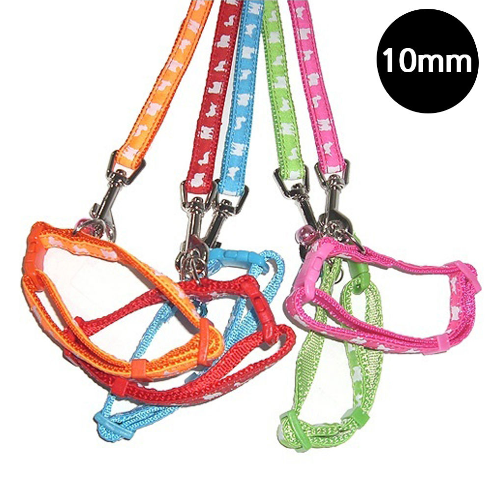 펫츠컴퍼니 파스텔 도그프린팅 고급 강아지 목줄세트 10mm (랜덤1개) - 상품 이미지