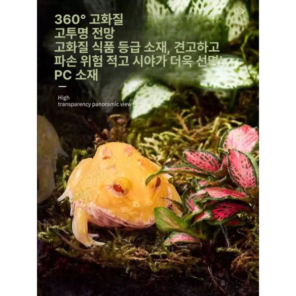 프리미엄 달팽이 사육상자 번식용 특대형 수입 애완용 사육통 은신처 제공 40 x 25x20 수입 중형 20 x 15x10 - 상세 이미지 5