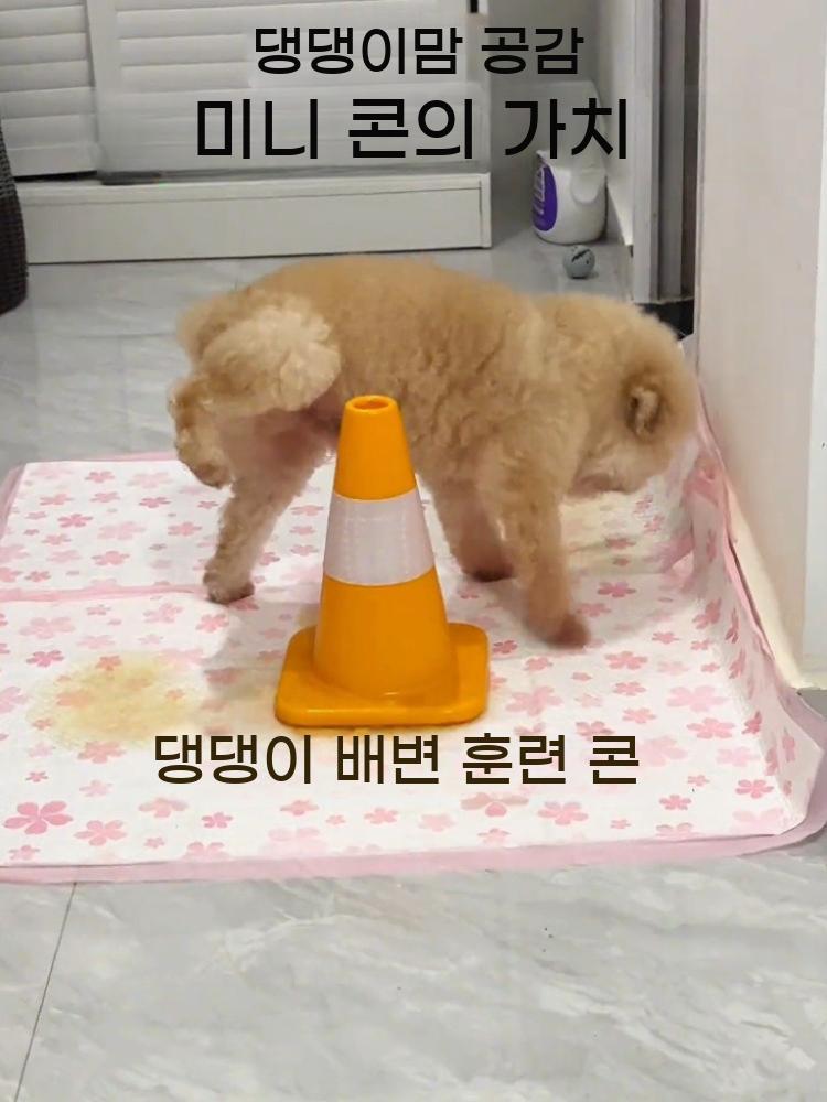 수컷 강아지 배뇨 세척형 모서리 방수 훈련 기둥 쉬 싸기 배변판 방지 - 상세 이미지 2