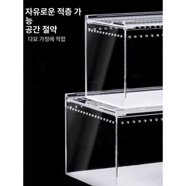 프리미엄 달팽이 사육상자 번식용 특대형 수입 애완용 사육통 은신처 제공 40 x 25x20 수입 중형 20 x 15x10 - 상세 이미지 4
