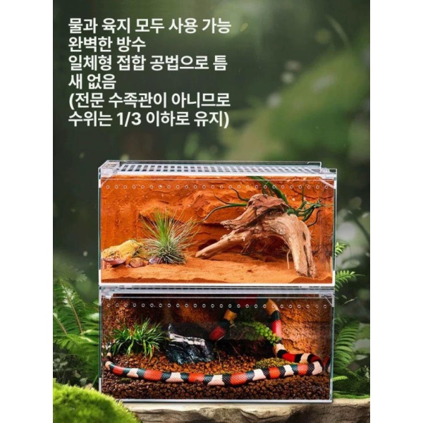 프리미엄 달팽이 사육상자 번식용 특대형 수입 애완용 사육통 은신처 제공 40 x 25x20 수입 중형 20 x 15x10 - 상세 이미지 3