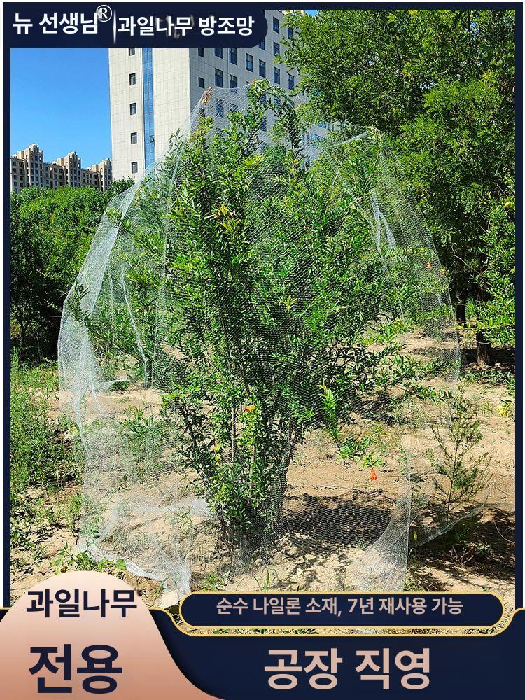 투명 망 새 과수원 메 울타리 너비 미터 대형 과일 조류 폭 그물 - 상세 이미지 3