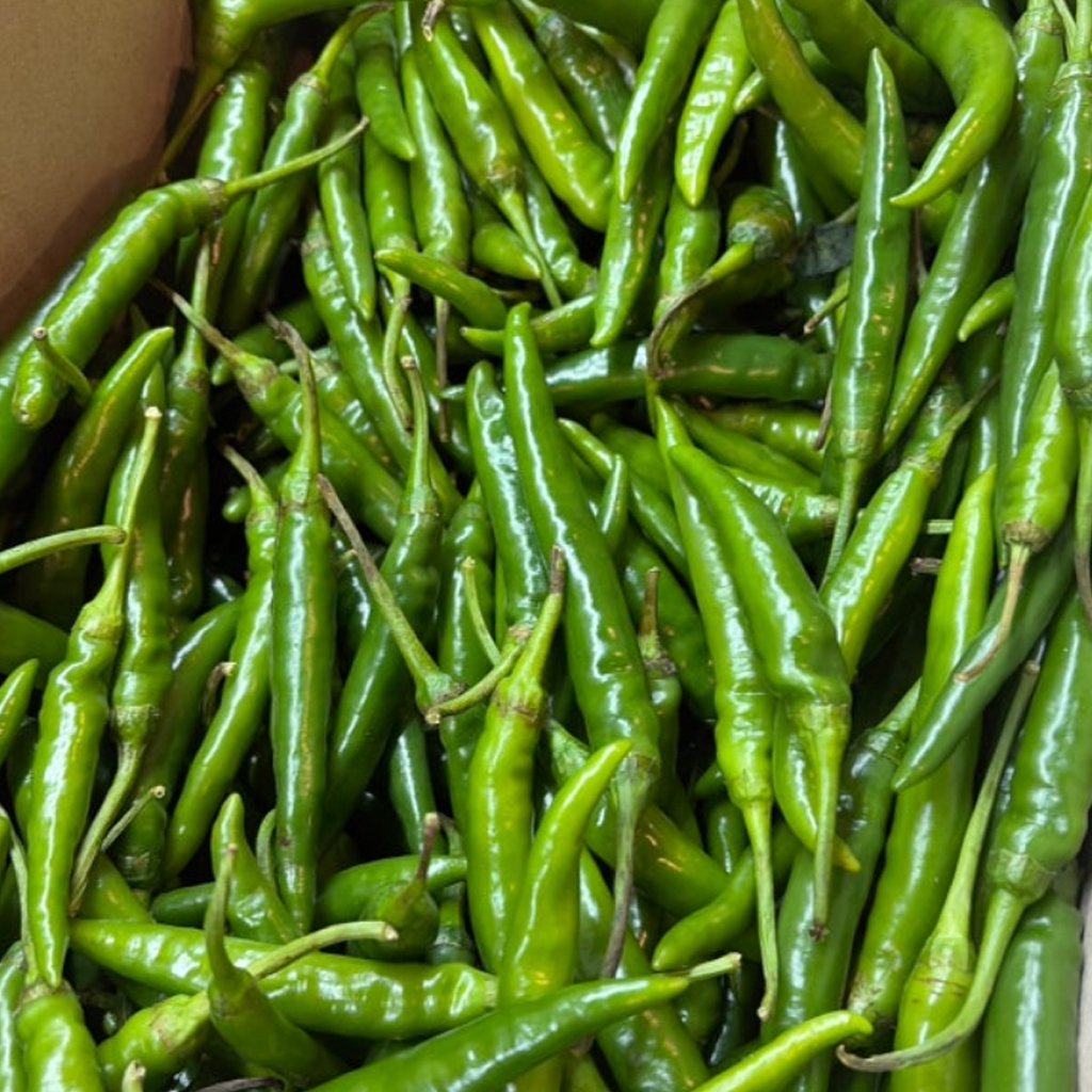 김채소 산지직송 국내산 청양고추 특 100g, 1개 - 상세 이미지 2
