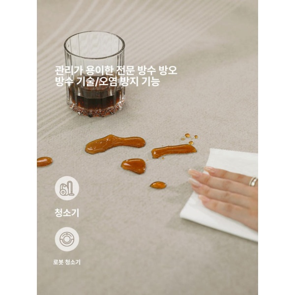 럭셔리 뉴크림 300 x 400cm 러그 거실 카페트 시온-12850 2025 시온-12850 240 x 300cm - 상세 이미지 2
