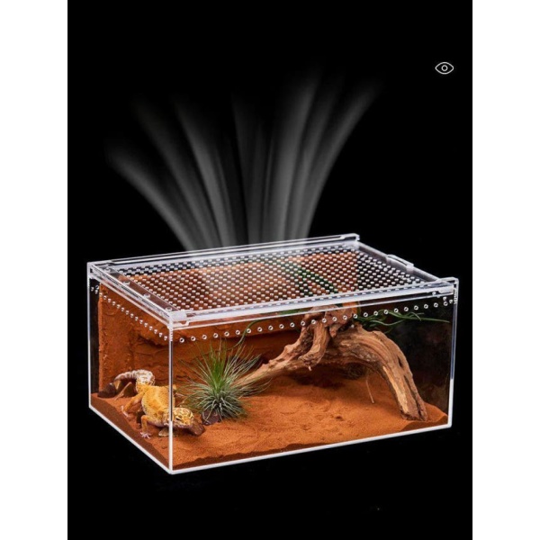프리미엄 달팽이 사육상자 번식용 특대형 수입 애완용 사육통 은신처 제공 40 x 25x20 수입 중형 20 x 15x10 - 상세 이미지 2