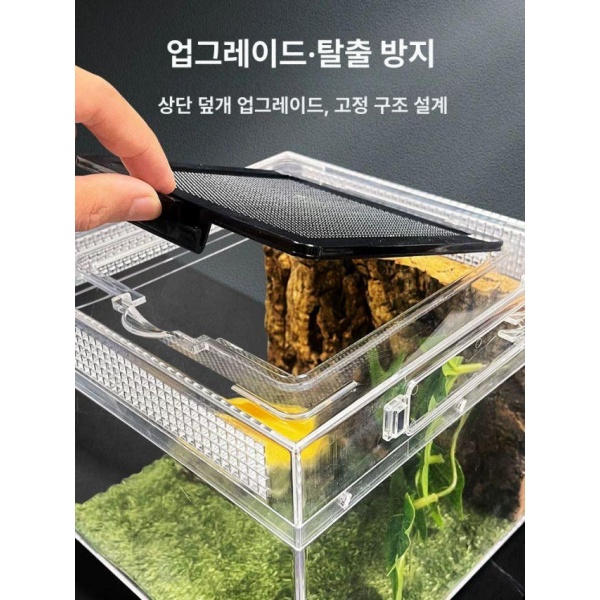 프리미엄 파충류 사육장 게코 도마뱀 케이지 투명 하우스 P01L 앵글 프로그 유체용 패키지 3 조경 마스터 P01L 20 x 20x15 - 상세 이미지 3