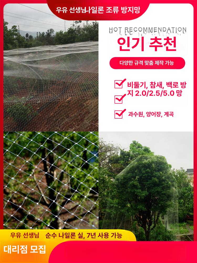 투명 망 새 과수원 메 울타리 너비 미터 대형 과일 조류 폭 그물 - 상세 이미지 4