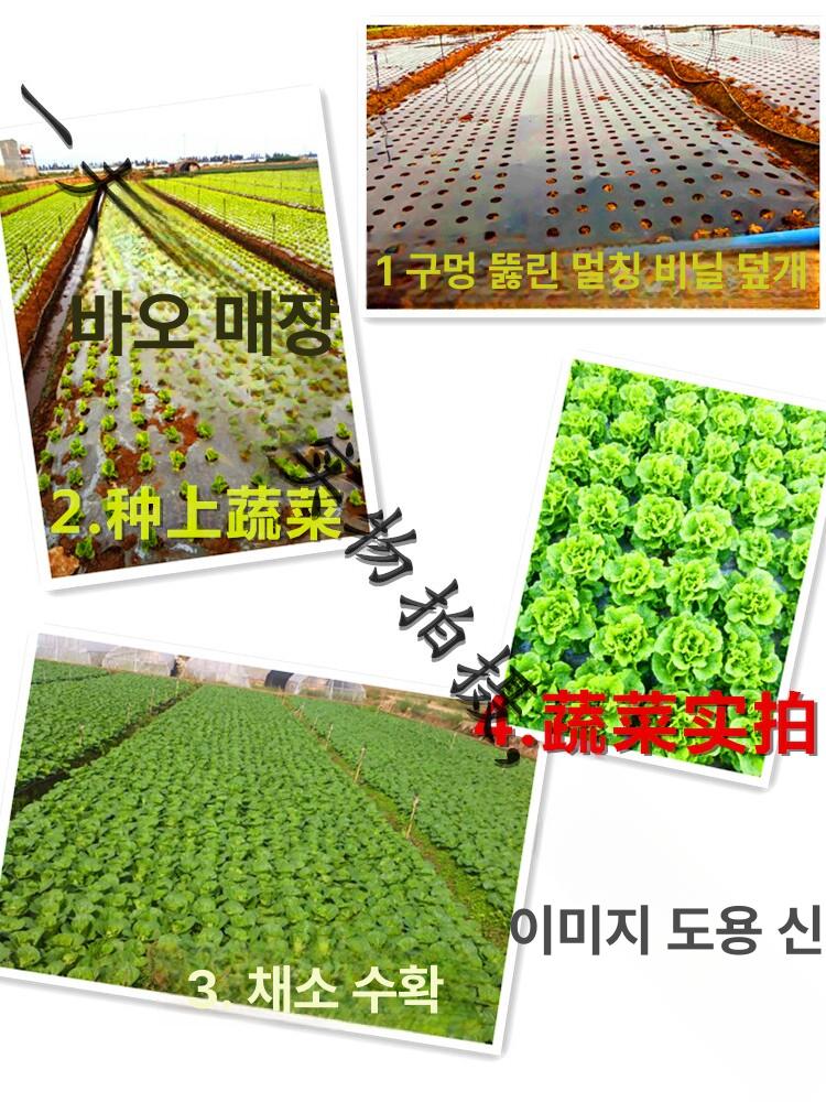 농사용 비닐 투명 과수용 비가림 제초용 대형 온실용 블랙 0.6m - 상세 이미지 3