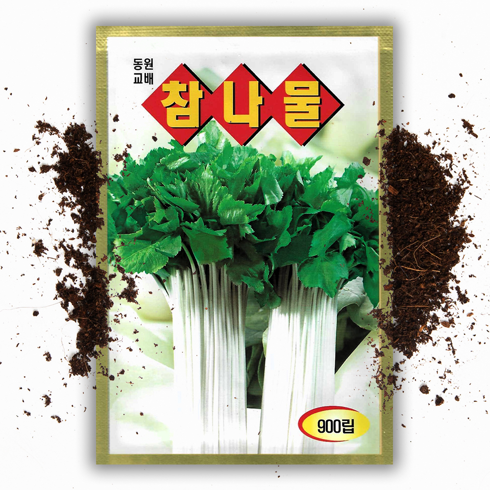 개량 참나물 씨앗 900립 채소 봄 나물 씨앗 종자 - 상품 이미지