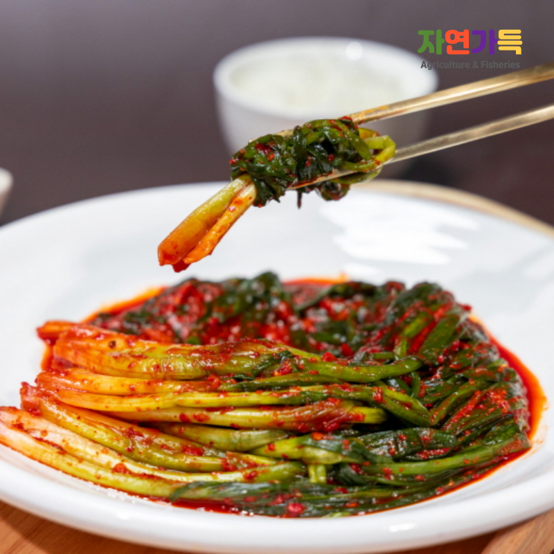 자연가득 국내산 재료로 만든 전라도 쪽파김치 1kg-3kg - 상세 이미지 2