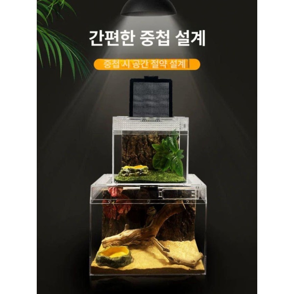 프리미엄 파충류 사육장 게코 도마뱀 케이지 투명 하우스 P01L 앵글 프로그 유체용 패키지 3 조경 마스터 P01L 20 x 20x15 - 상세 이미지 2