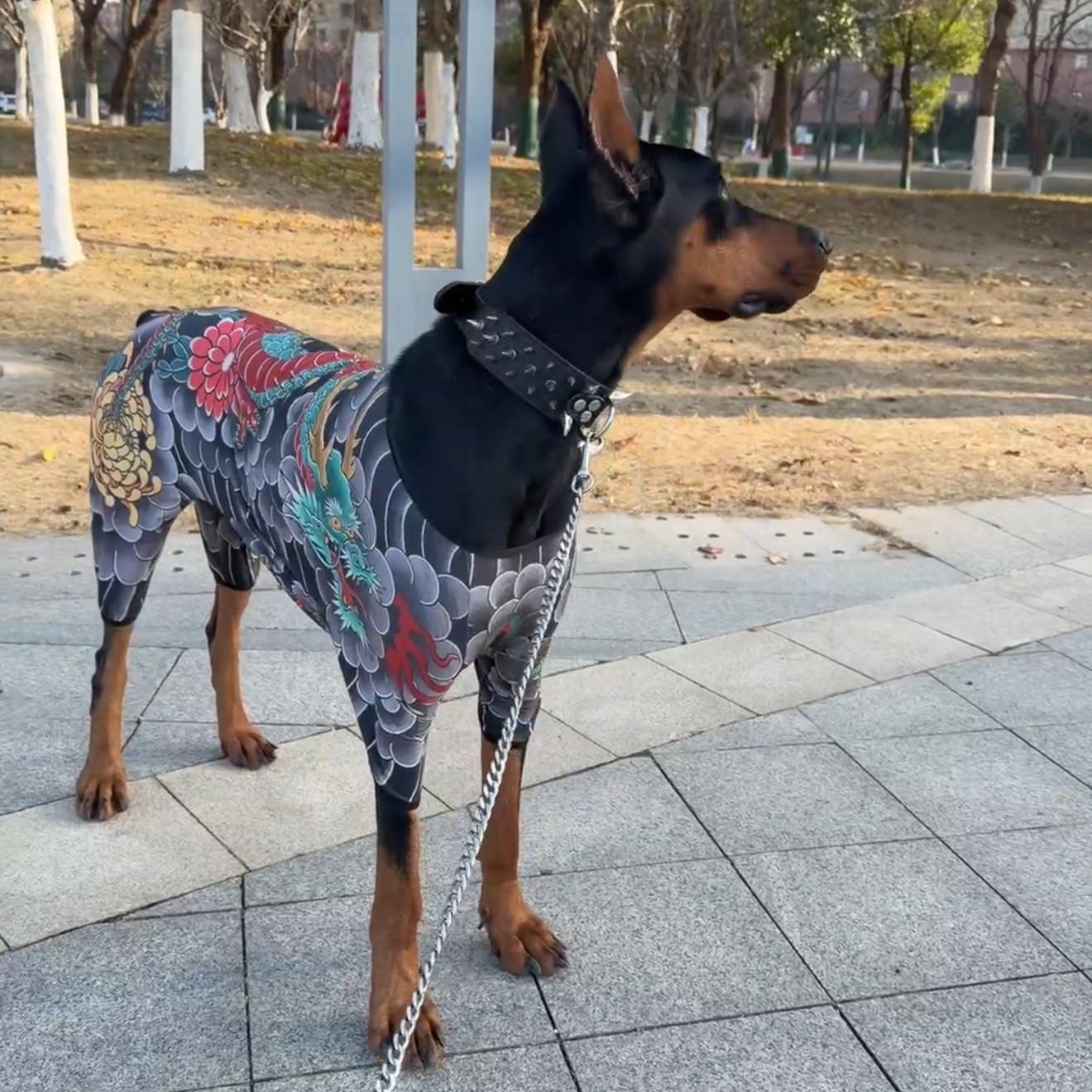 중대형견 반려동물 문신 이레즈미 타투 옷 고양이 강아지 3XL 등길이45센티적합 - 상세 이미지 4
