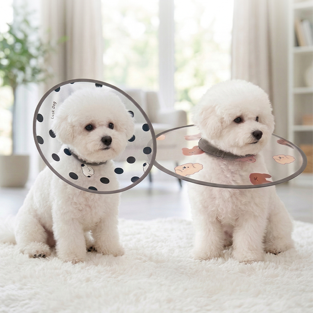 리치독스 강아지 넥카라 고양이 애견 깔대기 이미지 3
