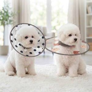 리치독스 강아지 넥카라 고양이 애견 깔대기 솔직 후기 | 실제 사용자 리뷰 총정리 - 상품 이미지 3