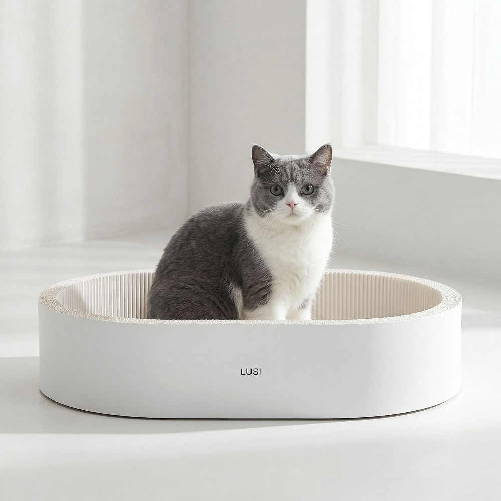 루시몰 고양이 타원형 원형 대형 화이트 스크래쳐 - 상품 이미지