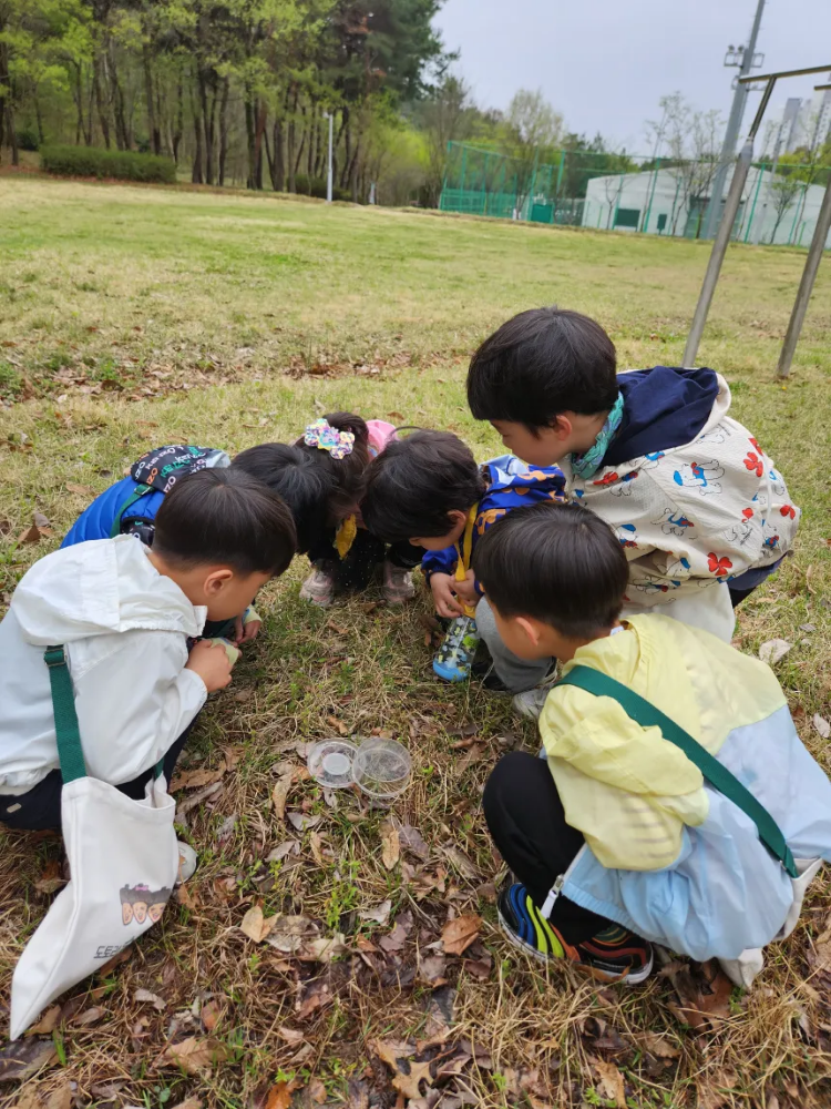 [광교호수공원] 도토리 숲체험학교 봄 숲체험 원데이 에코힐링 by 도토리 숲체험학교