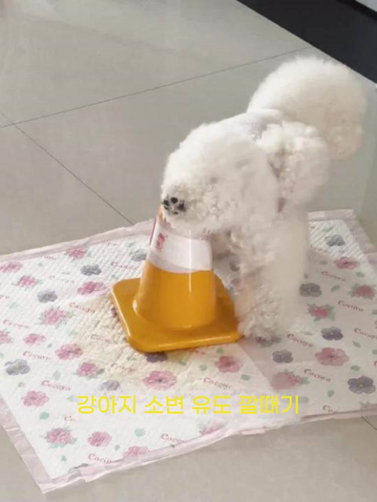 수컷 강아지 배뇨 세척형 모서리 방수 훈련 기둥 쉬 싸기 배변판 방지 - 상세 이미지 4