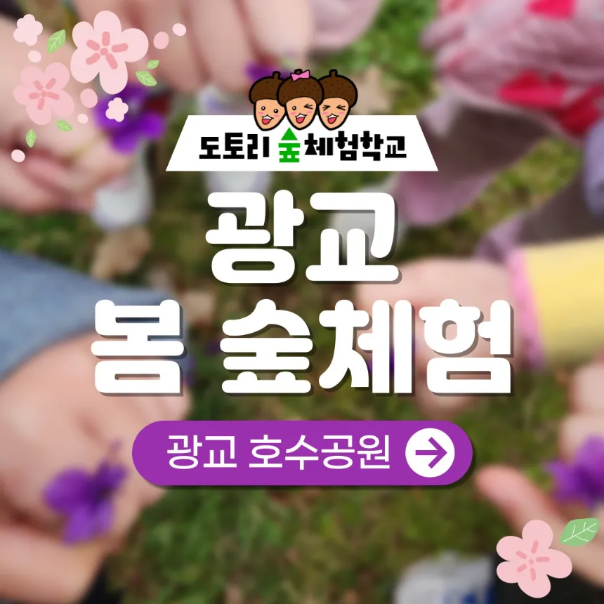광교호수공원 도토리 숲체험학교, 동급 대비 어떨까?, 가격대 비교 정리