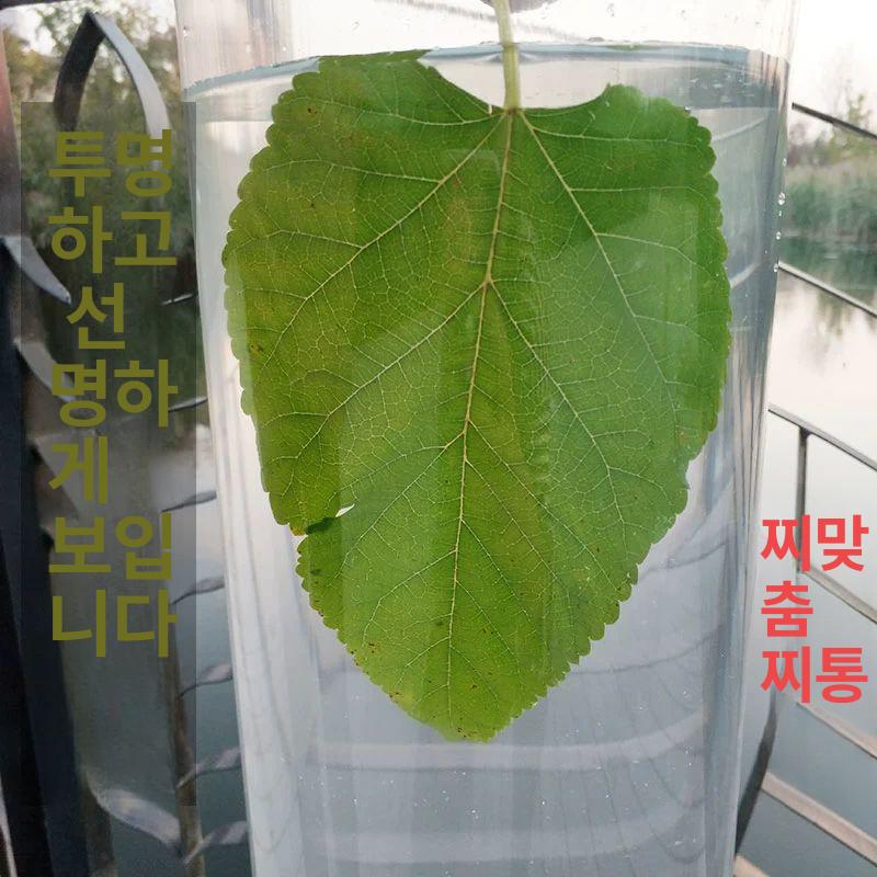 찌맞춤통 부력 수조통 투명한 아크릴 튼튼한 원통형 낚시찌 보관통 바다 민물낚시 지름 11 -80cm - 상세 이미지 3