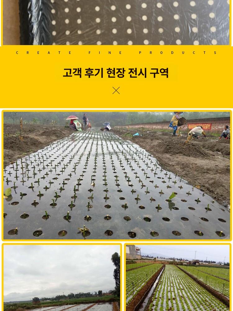 농사용 비닐 투명 과수용 비가림 제초용 대형 온실용 블랙 0.6m - 상세 이미지 4