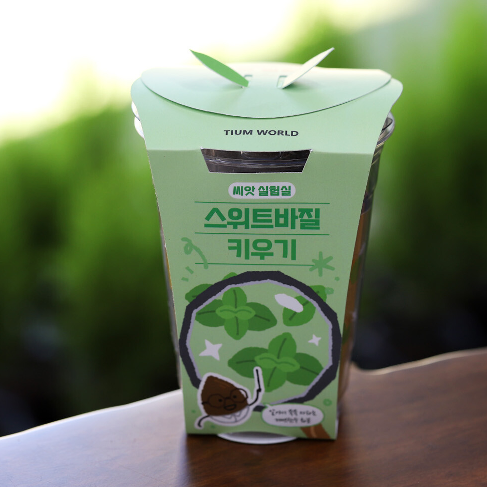 허브 바질 씨앗 키우기 저면관수 재배 세트 - 상세 이미지 5
