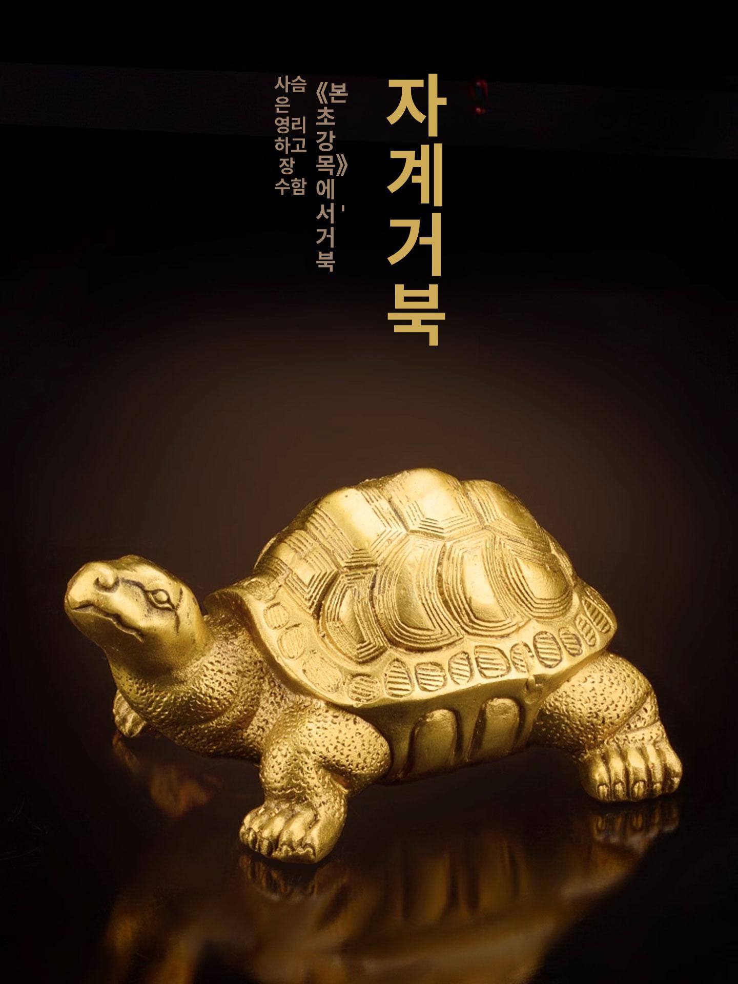 황금 거북이 조각상 구리 천년 금전 선물 기원 풍수 천년 24.5cm - 상세 이미지 4