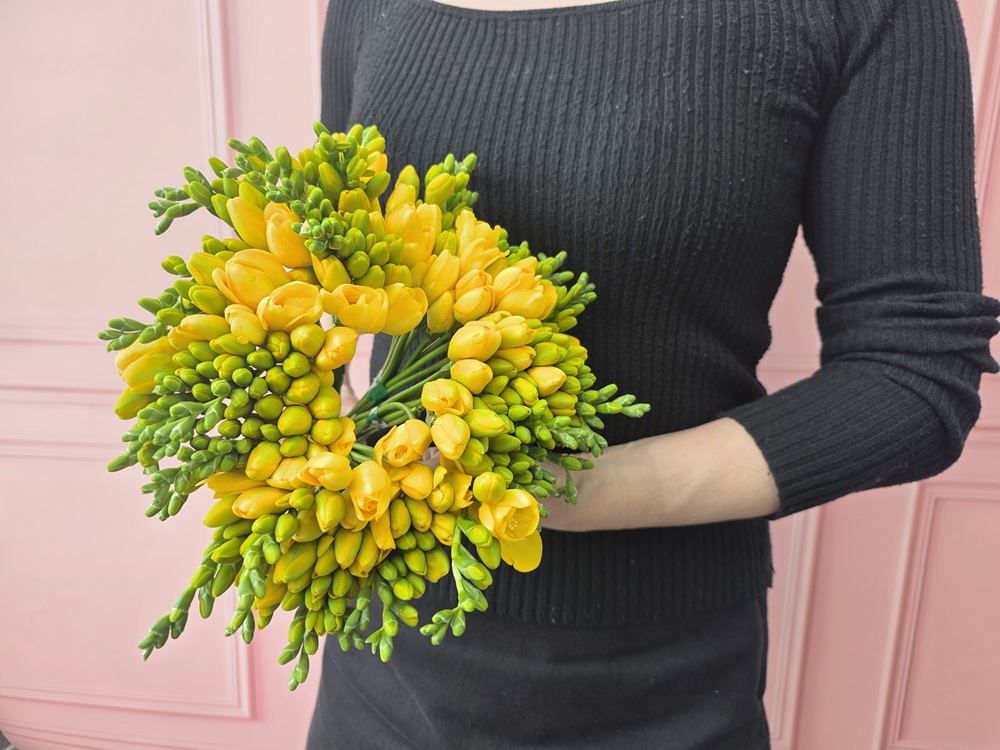 유스풀몰 프리지아 10줄기 후리지아 생화 꽃배달싼곳 꽃 이미지 4