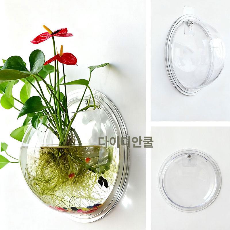 투명 아크릴 화분 수경 벽걸이 플라스틱 벽부형 키우기 18.5cm 없음+후크 - 상세 이미지 4